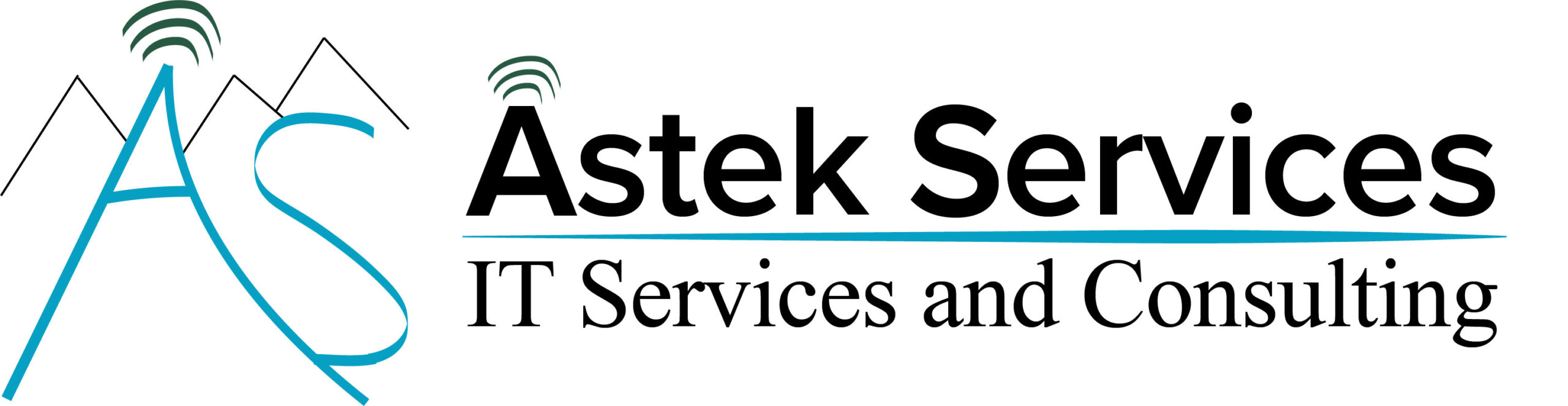 Astek Services